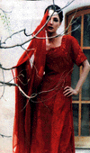 twenthree-s.gif (14649 bytes)